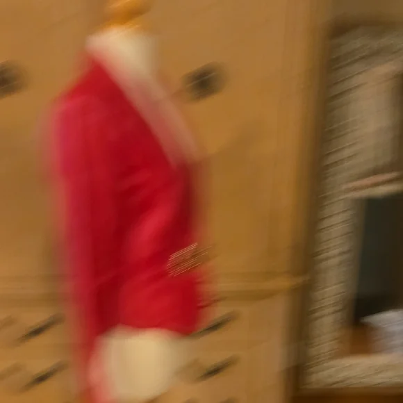 Elegant Red Blazer with Embellished Detail - Picture 6 of 9